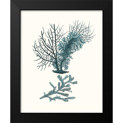 Antique Coastal Coral VI Black Modern Wood Framed Art Print by Esper, Johann