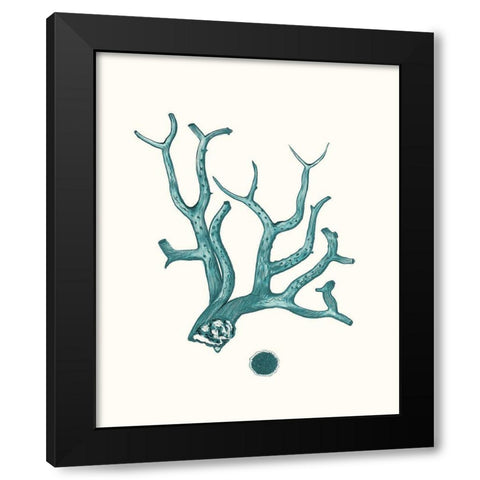 Antique Coastal Coral IX Black Modern Wood Framed Art Print by Esper, Johann