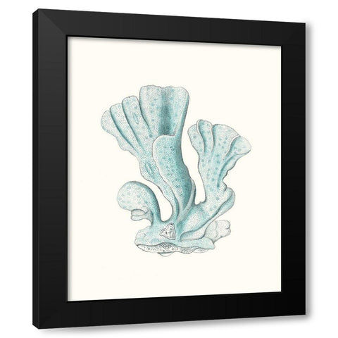 Antique Coastal Coral XI Black Modern Wood Framed Art Print by Esper, Johann