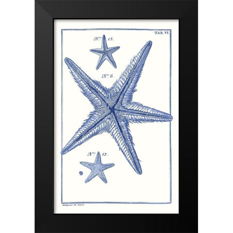 Blue Sea Stars III Black Modern Wood Framed Art Print by Vision Studio