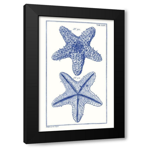 Blue Sea Stars IV Black Modern Wood Framed Art Print with Double Matting by Vision Studio