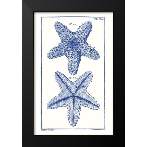 Blue Sea Stars IV Black Modern Wood Framed Art Print by Vision Studio