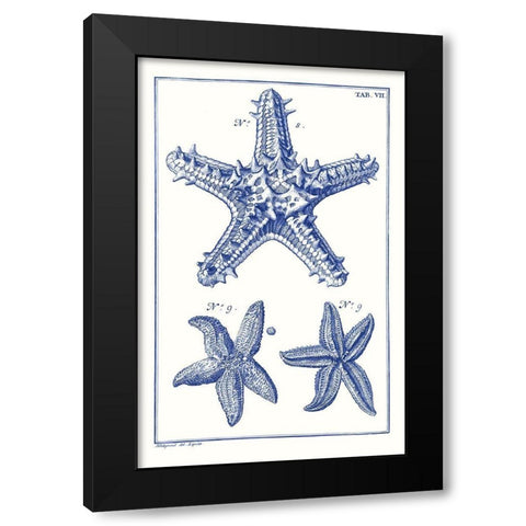 Blue Sea Stars V Black Modern Wood Framed Art Print by Vision Studio