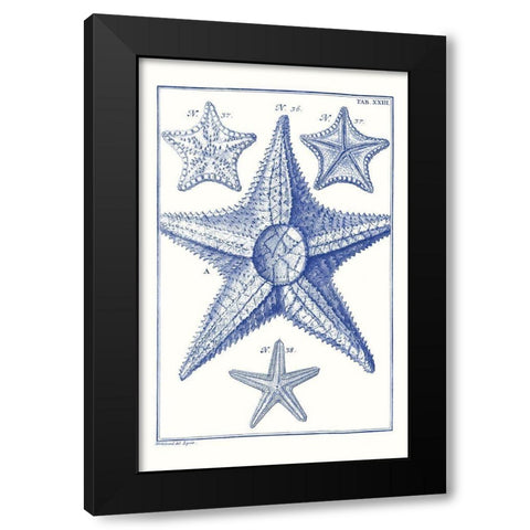 Blue Sea Stars VI Black Modern Wood Framed Art Print with Double Matting by Vision Studio