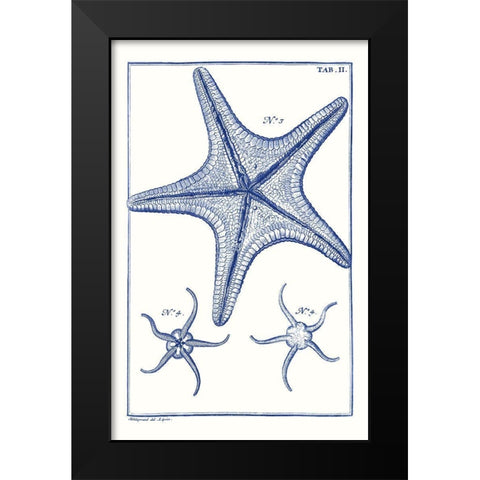 Blue Sea Stars VII Black Modern Wood Framed Art Print by Vision Studio