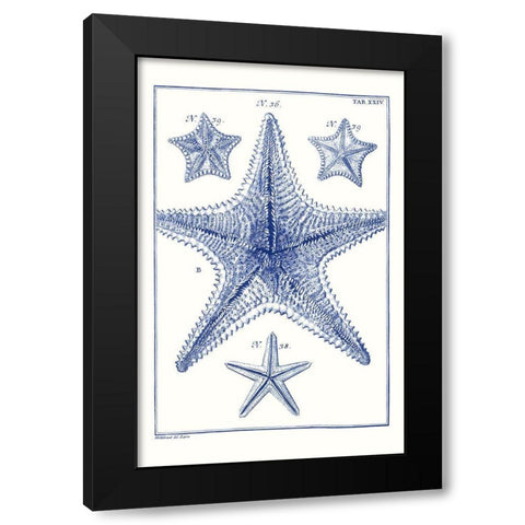 Blue Sea Stars VIII Black Modern Wood Framed Art Print with Double Matting by Vision Studio