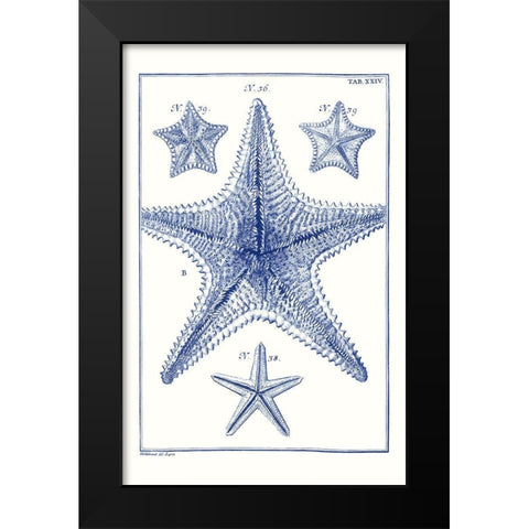 Blue Sea Stars VIII Black Modern Wood Framed Art Print by Vision Studio