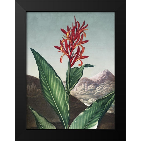 Temple of Flora I Black Modern Wood Framed Art Print by Thornton, Dr. Robert J.