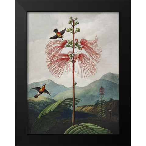 Temple of Flora VIII Black Modern Wood Framed Art Print by Thornton, Dr. Robert J.