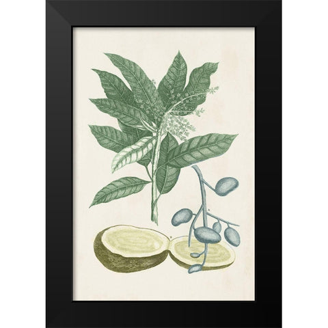 Buchoz Tropicals IV Black Modern Wood Framed Art Print by Vision Studio