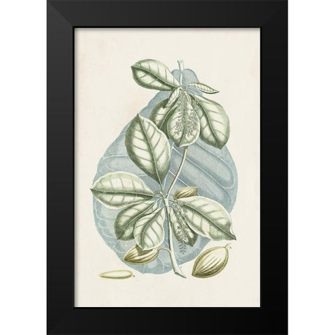 Buchoz Tropicals VI Black Modern Wood Framed Art Print by Vision Studio