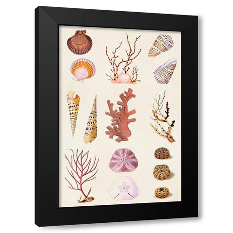 Coral And Shell Collage II Black Modern Wood Framed Art Print by Vision Studio