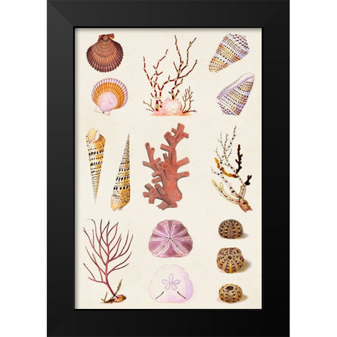 Coral And Shell Collage II Black Modern Wood Framed Art Print by Vision Studio