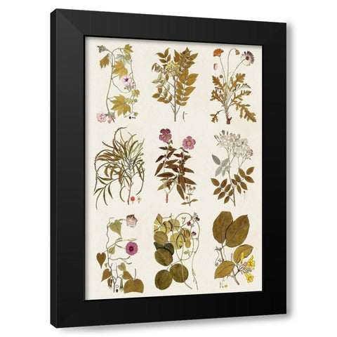 Antique Floral Grid II Black Modern Wood Framed Art Print by Vision Studio