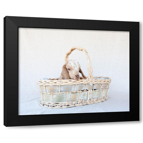 Friday in Basket II Black Modern Wood Framed Art Print with Double Matting by Soderman, Tania