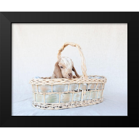 Friday in Basket II Black Modern Wood Framed Art Print by Soderman, Tania