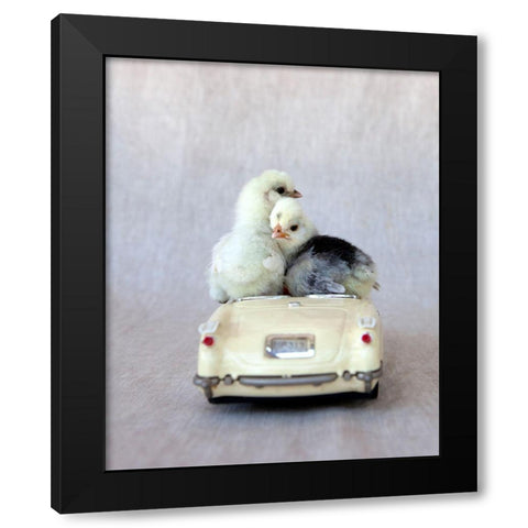 Chicks in Cream Car I Black Modern Wood Framed Art Print with Double Matting by Soderman, Tania