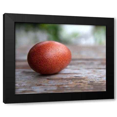 Egg on Wood Black Modern Wood Framed Art Print with Double Matting by Soderman, Tania