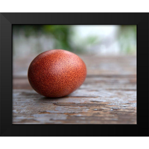 Egg on Wood Black Modern Wood Framed Art Print by Soderman, Tania