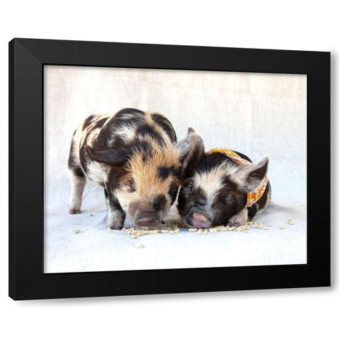 Fiona And Ferdinand II Black Modern Wood Framed Art Print by Soderman, Tania