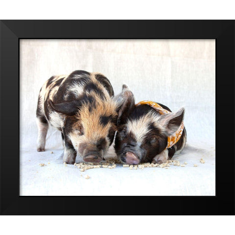 Fiona And Ferdinand II Black Modern Wood Framed Art Print by Soderman, Tania