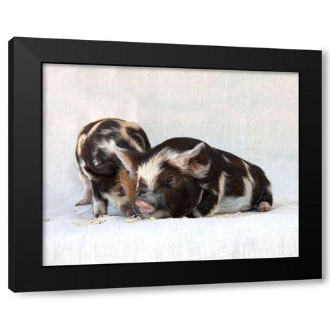 Fiona And Ferdinand III Black Modern Wood Framed Art Print by Soderman, Tania