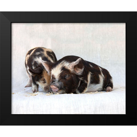 Fiona And Ferdinand III Black Modern Wood Framed Art Print by Soderman, Tania