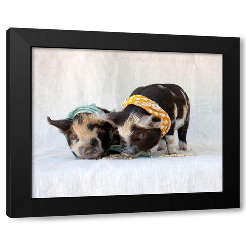 Fiona And Ferdinand IV Black Modern Wood Framed Art Print by Soderman, Tania