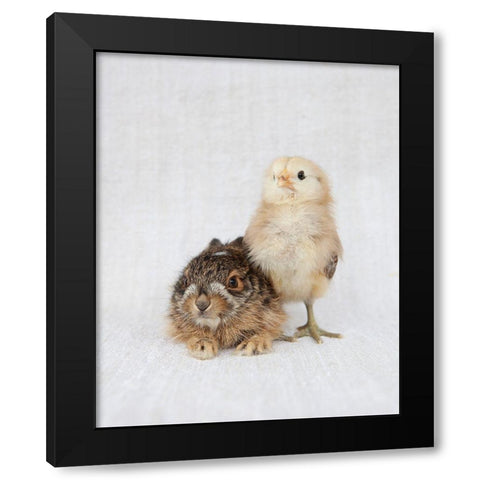 Chick And Baby Rabbit Black Modern Wood Framed Art Print by Soderman, Tania