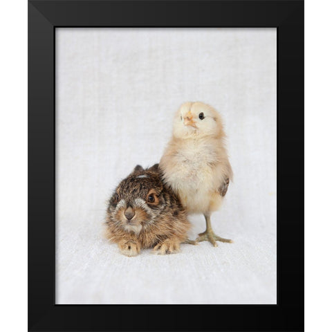 Chick And Baby Rabbit Black Modern Wood Framed Art Print by Soderman, Tania