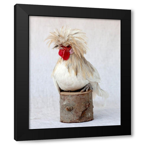 Rod the Rooster I Black Modern Wood Framed Art Print by Soderman, Tania