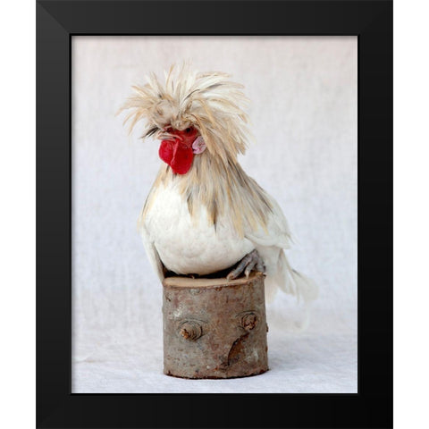 Rod the Rooster I Black Modern Wood Framed Art Print by Soderman, Tania