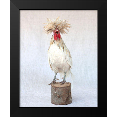 Rod the Rooster III Black Modern Wood Framed Art Print by Soderman, Tania