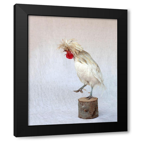 Rod the Rooster IV Black Modern Wood Framed Art Print by Soderman, Tania