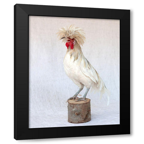 Rod the Rooster V Black Modern Wood Framed Art Print by Soderman, Tania