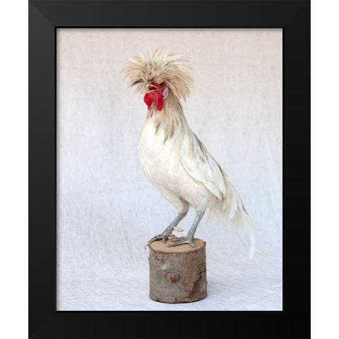 Rod the Rooster V Black Modern Wood Framed Art Print by Soderman, Tania