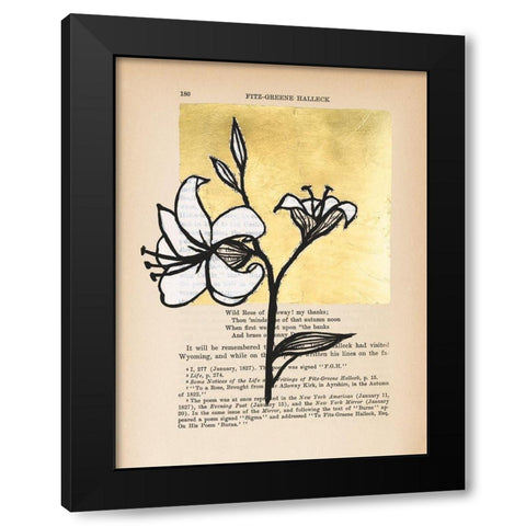 Floral Diary IV Black Modern Wood Framed Art Print with Double Matting by Lam, Vanna