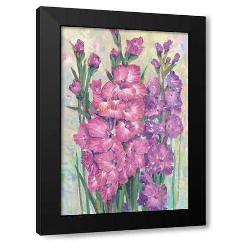 Gladiolas Blooming I Black Modern Wood Framed Art Print with Double Matting by OToole, Tim