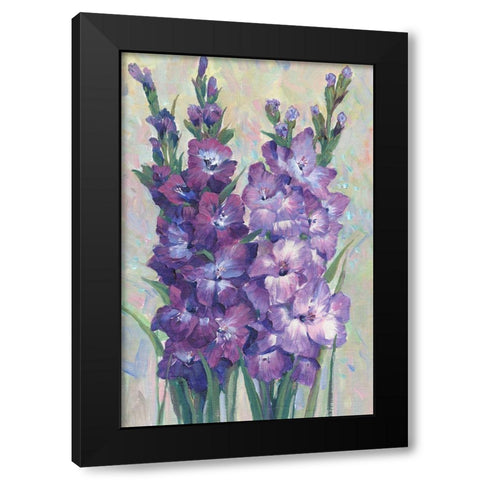 Gladiolas Blooming II Black Modern Wood Framed Art Print with Double Matting by OToole, Tim