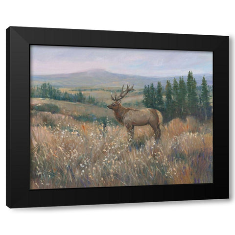 Western Wildlife II Black Modern Wood Framed Art Print with Double Matting by OToole, Tim