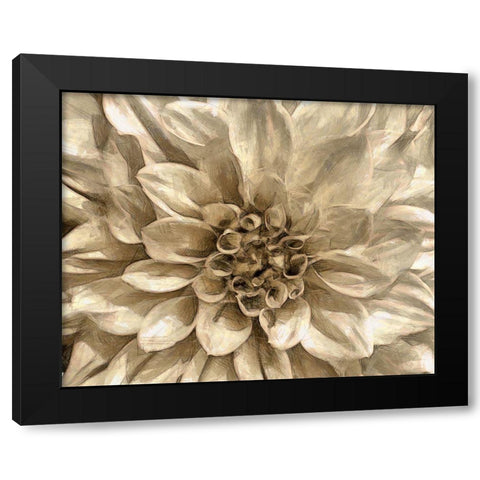 Neutral Wall Flower I Black Modern Wood Framed Art Print by Saunders, Alonzo