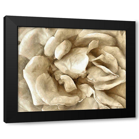 Neutral Wall Flower II Black Modern Wood Framed Art Print with Double Matting by Saunders, Alonzo