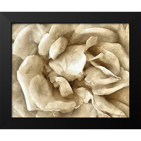 Neutral Wall Flower II Black Modern Wood Framed Art Print by Saunders, Alonzo