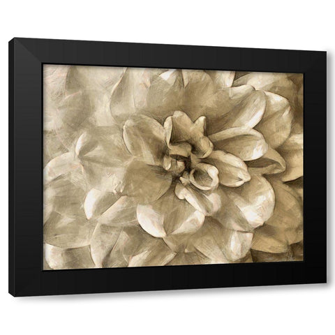 Neutral Wall Flower III Black Modern Wood Framed Art Print with Double Matting by Saunders, Alonzo