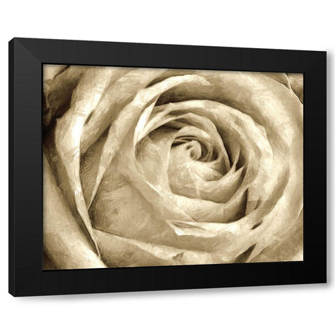 Neutral Wall Flower IV Black Modern Wood Framed Art Print by Saunders, Alonzo