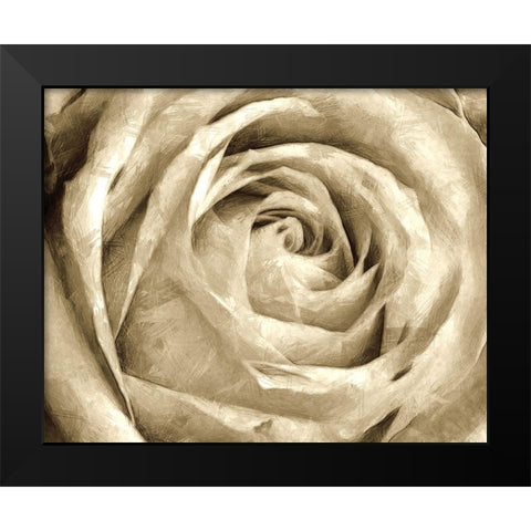 Neutral Wall Flower IV Black Modern Wood Framed Art Print by Saunders, Alonzo