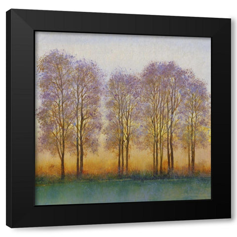 Twilight Glow I Black Modern Wood Framed Art Print with Double Matting by OToole, Tim