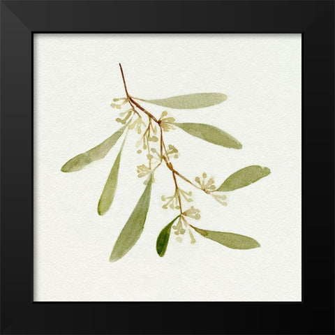Eucalyptus Collection I Black Modern Wood Framed Art Print by Caroline, Emma