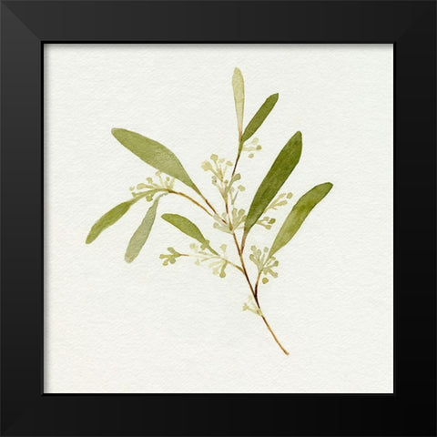 Eucalyptus Collection II Black Modern Wood Framed Art Print by Caroline, Emma