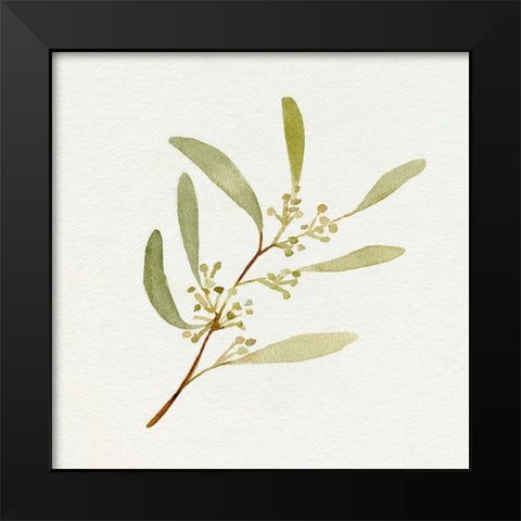 Eucalyptus Collection III Black Modern Wood Framed Art Print by Caroline, Emma